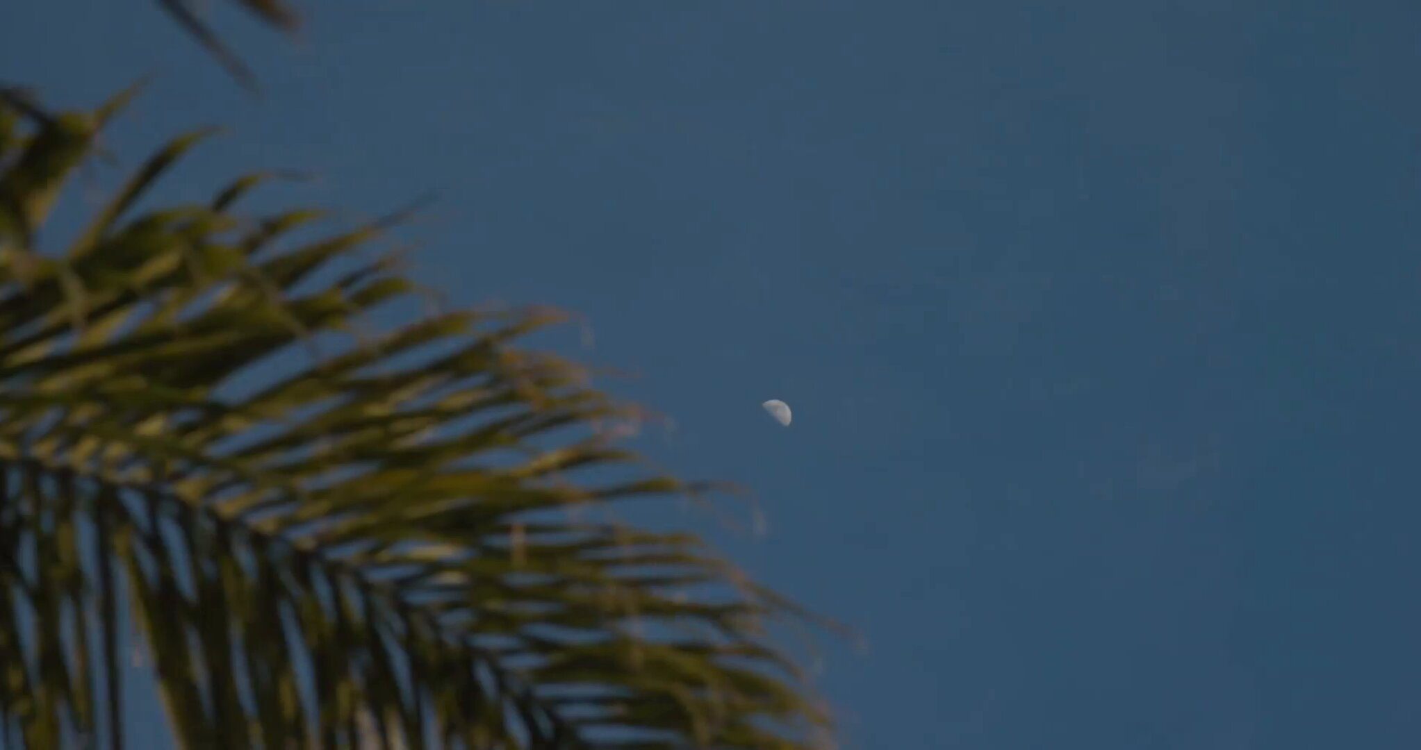 Luxurious stay at F ZEEN KEFALONIA - F ZEEN RETREATS