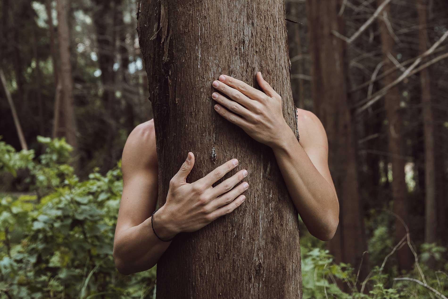 a man hugging a tree