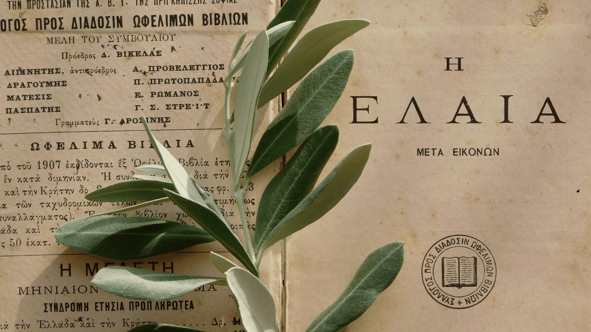 greek book about olive