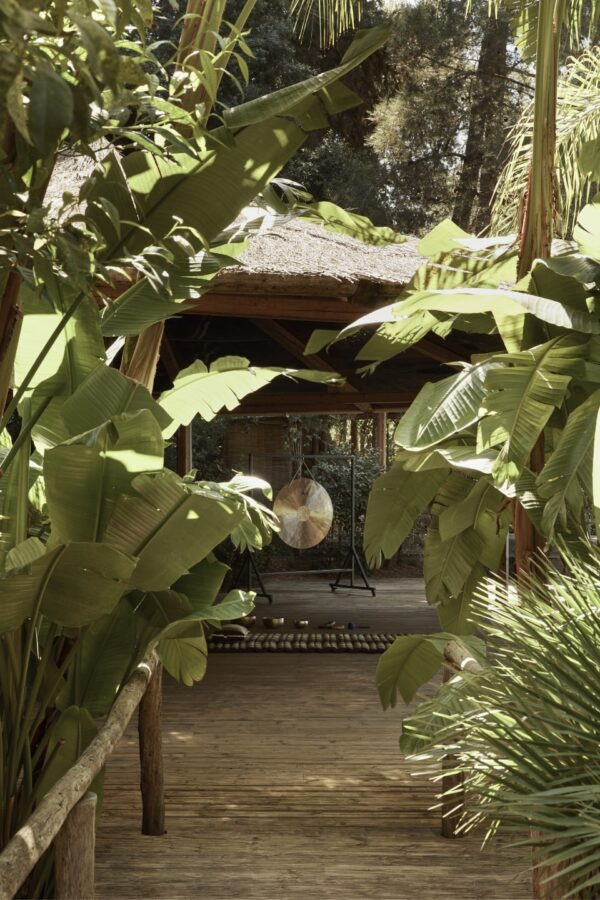 a yard with trees at a luxury wellness retreat in Greece