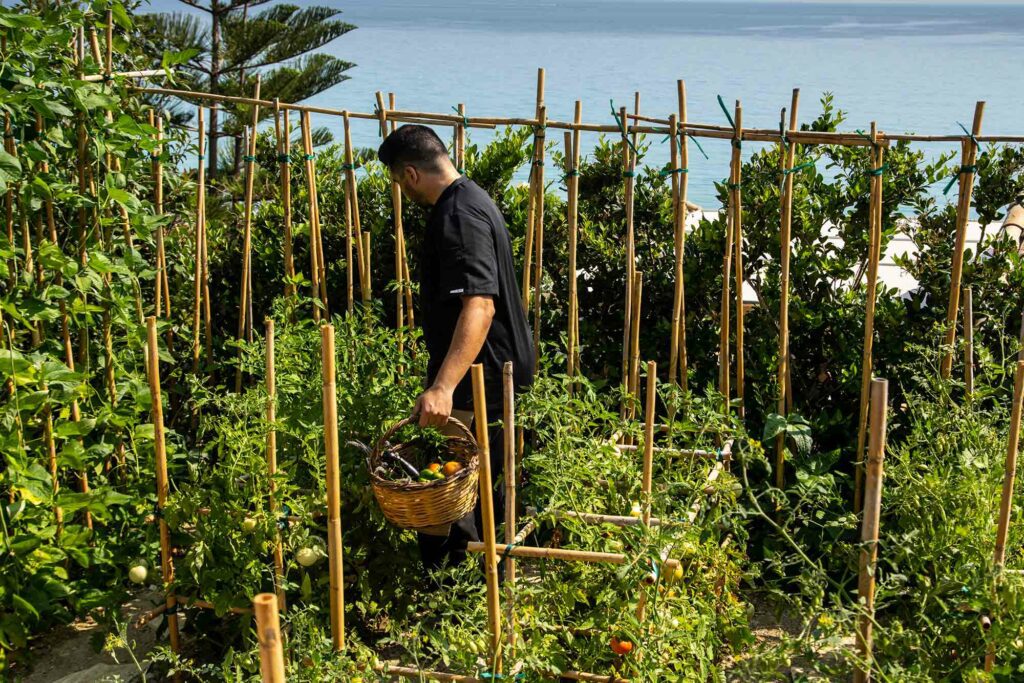 chef's garden F ZEEN KEFALONIA