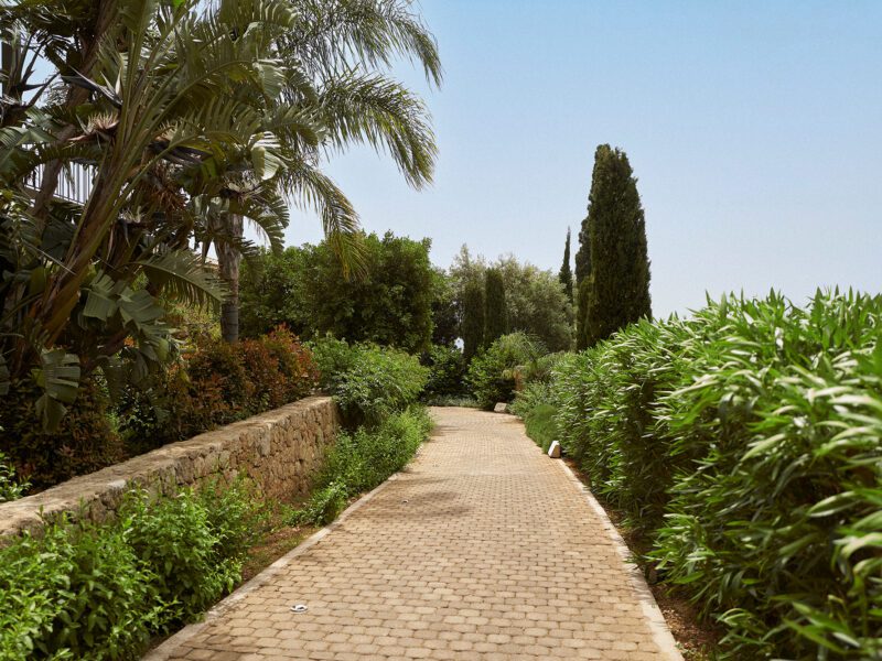 hotel pathway in greenery surroundings