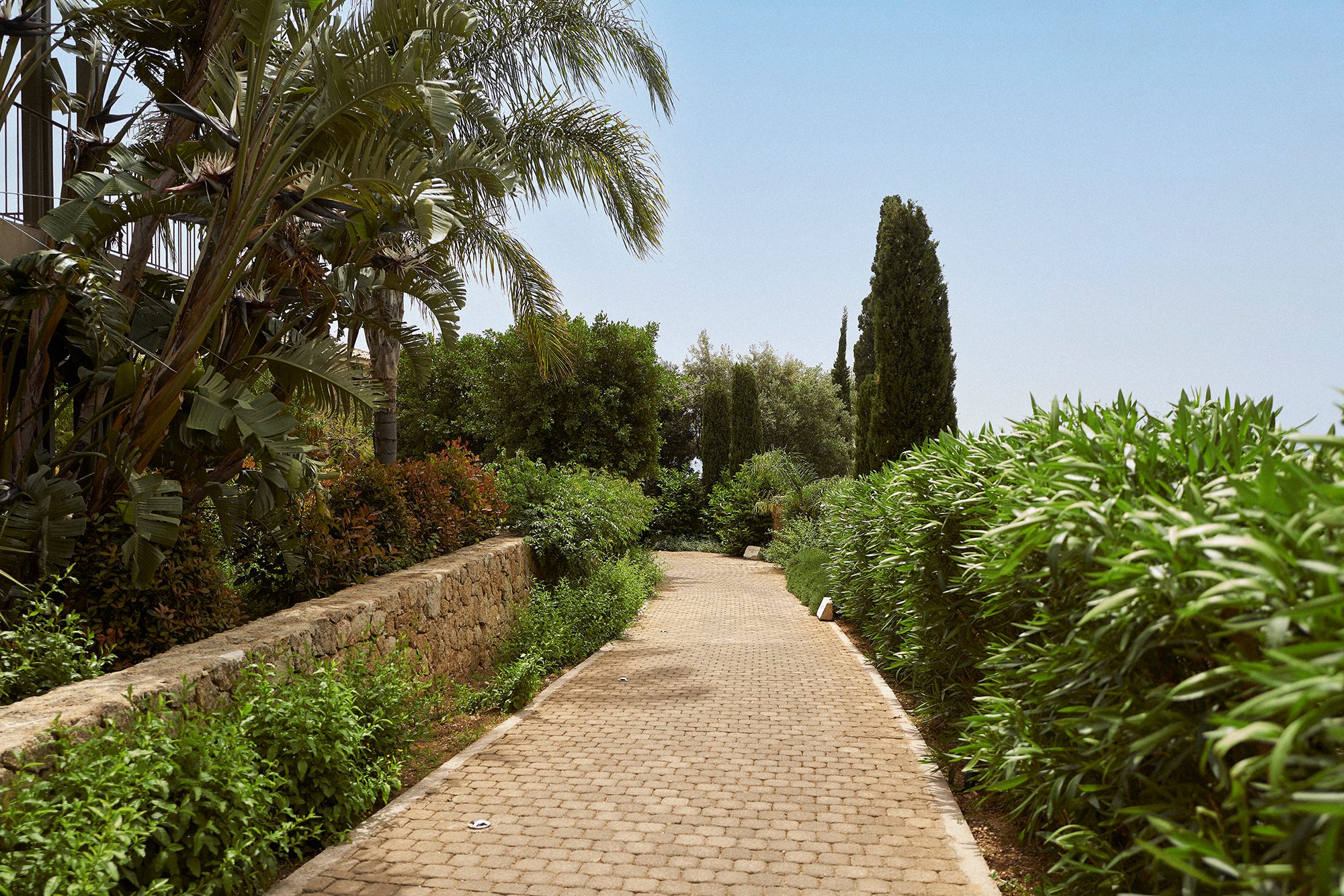 hotel pathway in greenery surroundings